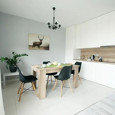 Sloneczne Tarasy - Apartament Brzozowy Appartement